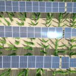 April Sees 21% Surge in Renewable Energy Growth: 304 GW Tendering Pipeline Fuels Green Revolution