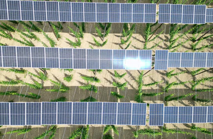 April Sees 21% Surge in Renewable Energy Growth: 304 GW Tendering Pipeline Fuels Green Revolution