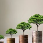 Canara Bank Declares Dividend & Sets Record Date Following Impressive Q4 Results – Get the Full Details!