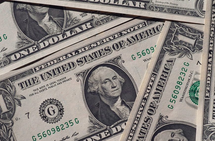 FPIs Continue Buying Streak: 11 Consecutive Sessions of Net Purchases!