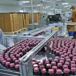 India's CDMO Sector Set for 13-15% Revenue Growth by FY26 Despite US Tariff Challenges, Reports Crisil