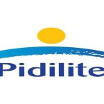 Pidilite Expands Paints Portfolio with Exciting New Shades