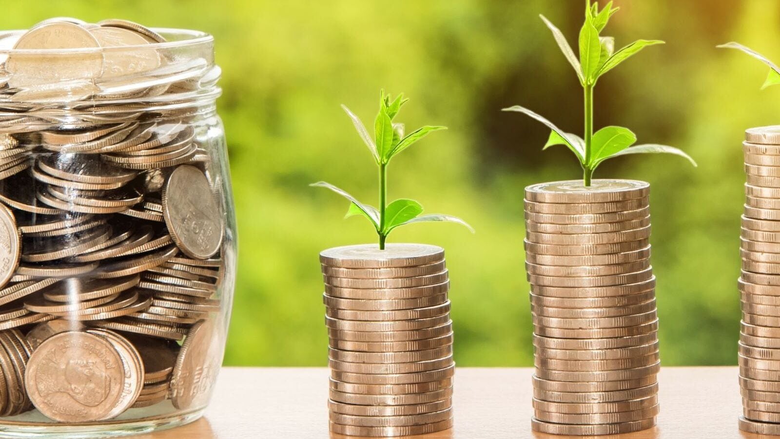 Small-Cap Stock Soars 12% After Q4 Results and Exciting Dividend Announcement: Is Your Portfolio Ready?