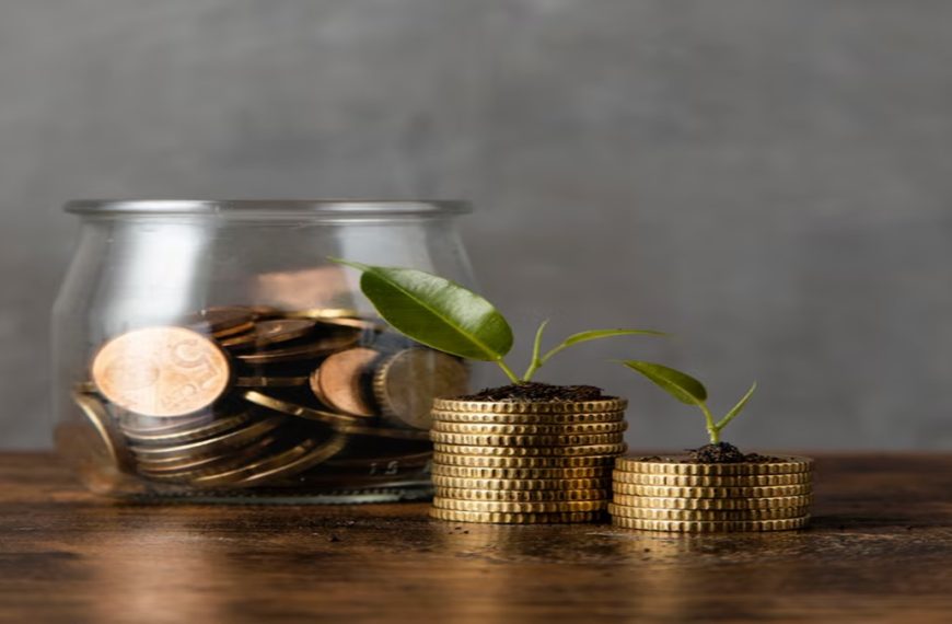 Unlocking Potential: Why Private Sector Capex is Key to Economic Growth